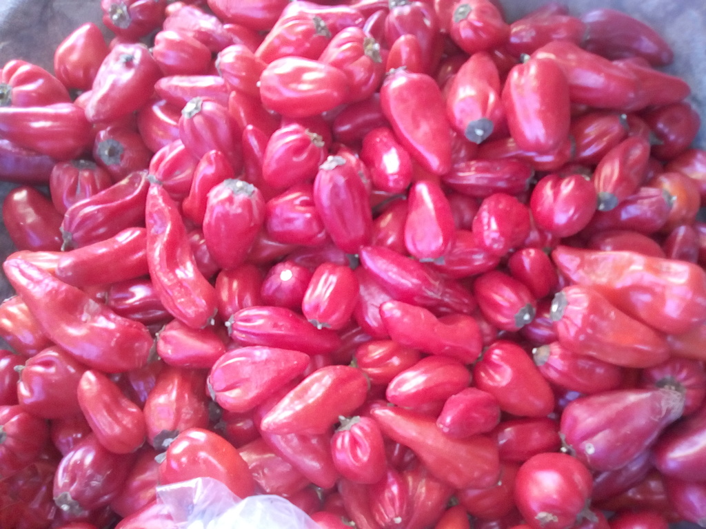 Ají criollo