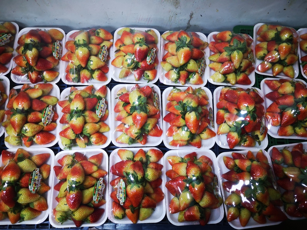 Fresa Agranel/Bandeja