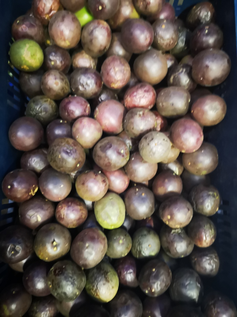 Gulupa
