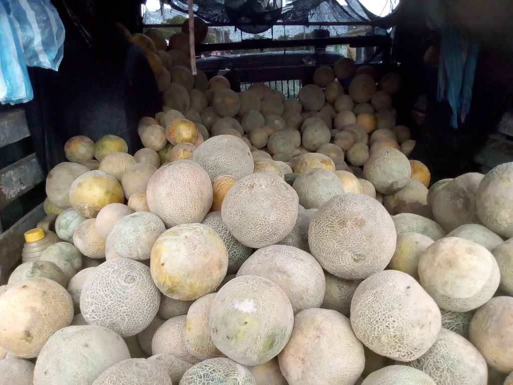 Melón