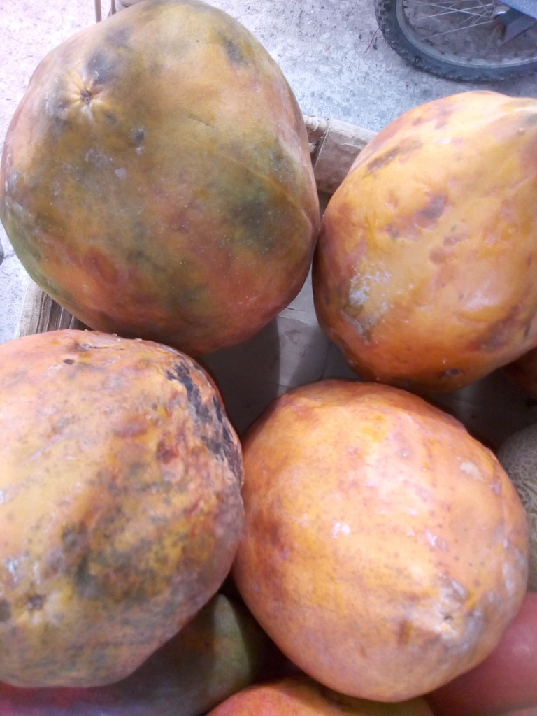 Papaya