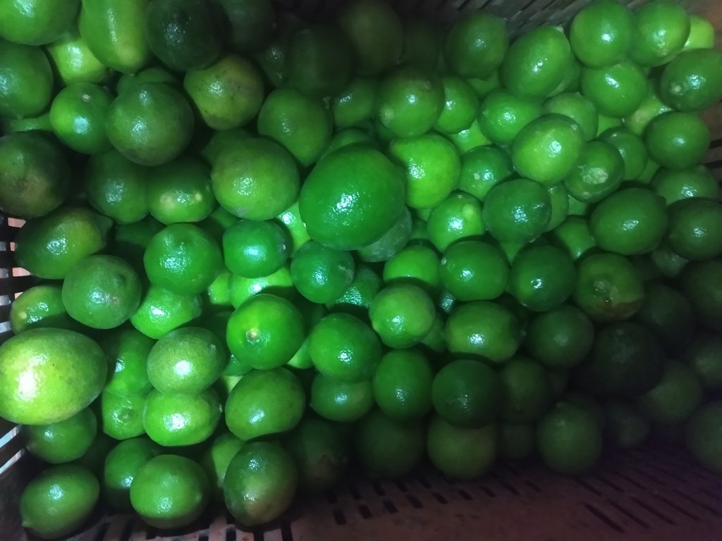 Limón Tahití
