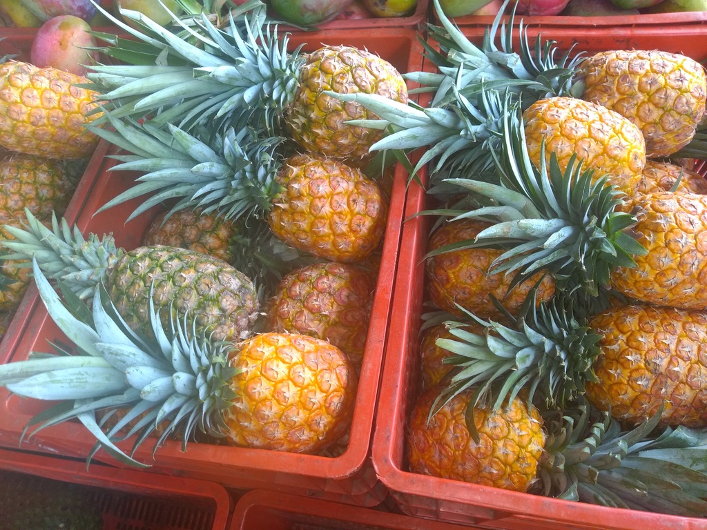 Piña oromiel
