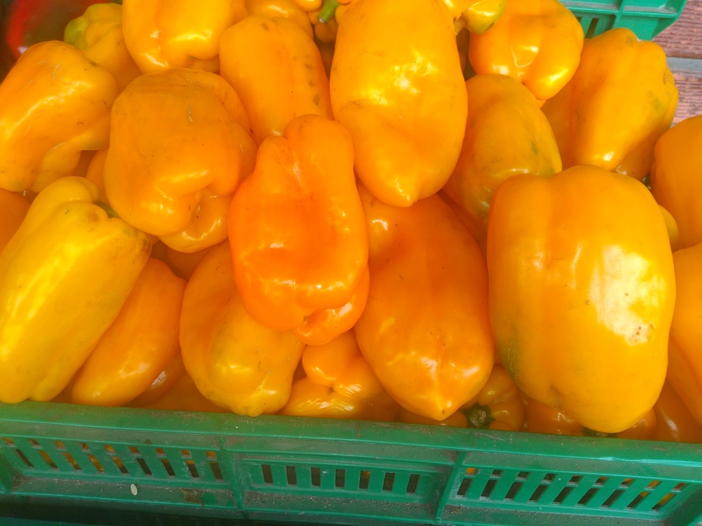Pimentón amarillo