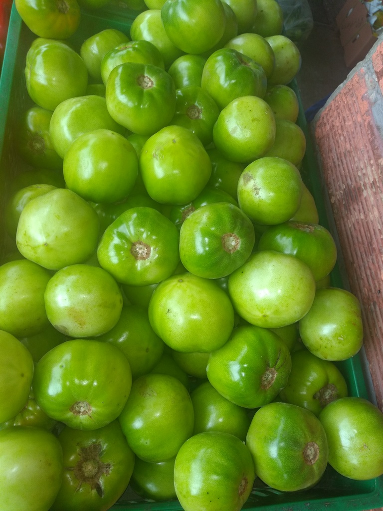 Tomate riñón