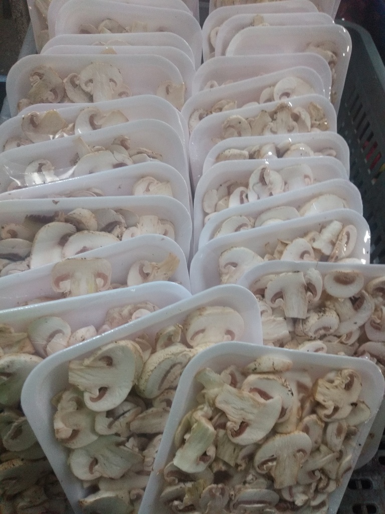 Champiñon y 100 gmm