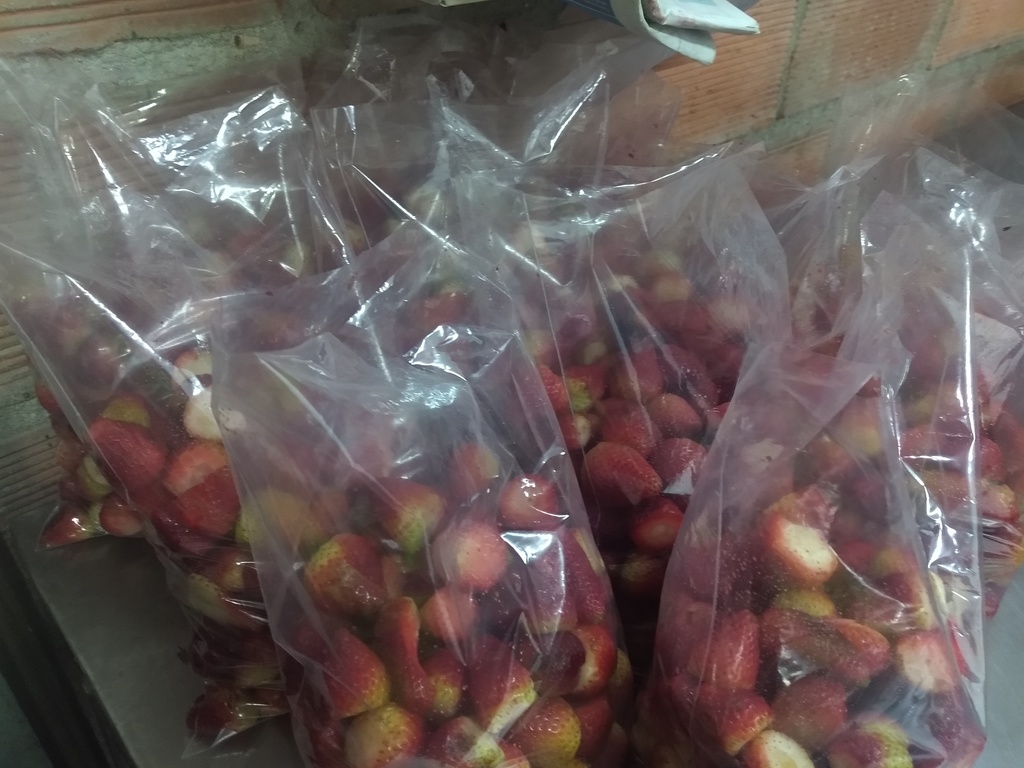 Fresa despitonada bolsa x 2 kilos