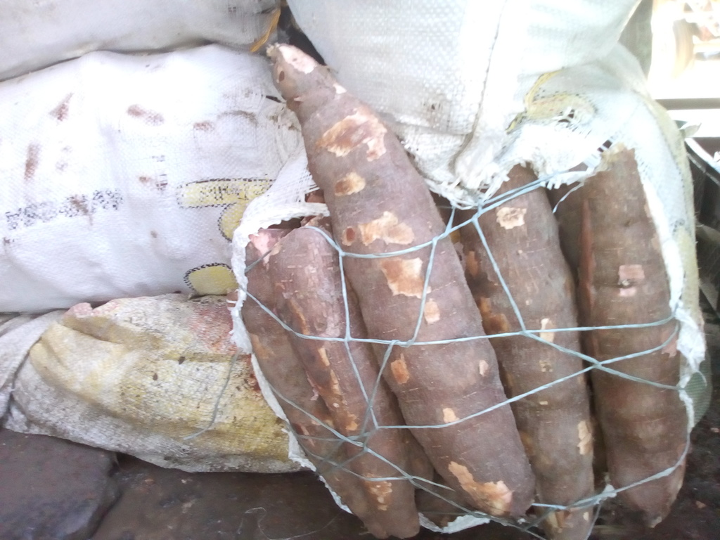 Yuca x bulto