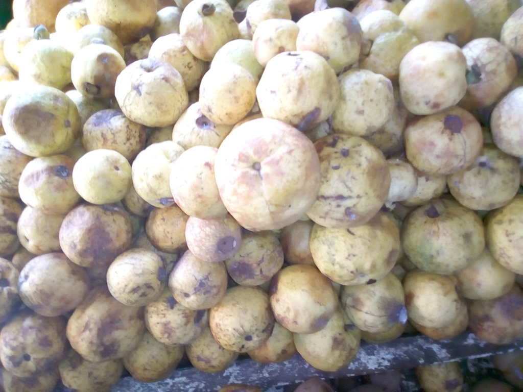 Guayaba agria
