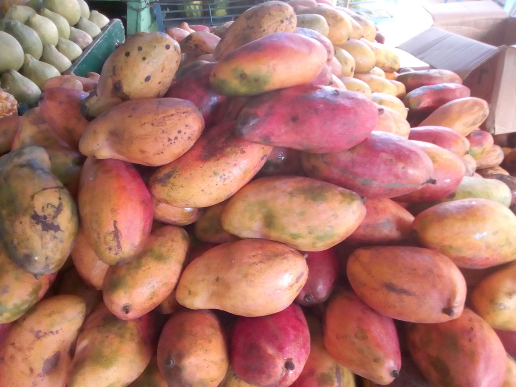 Mango de chupa americano