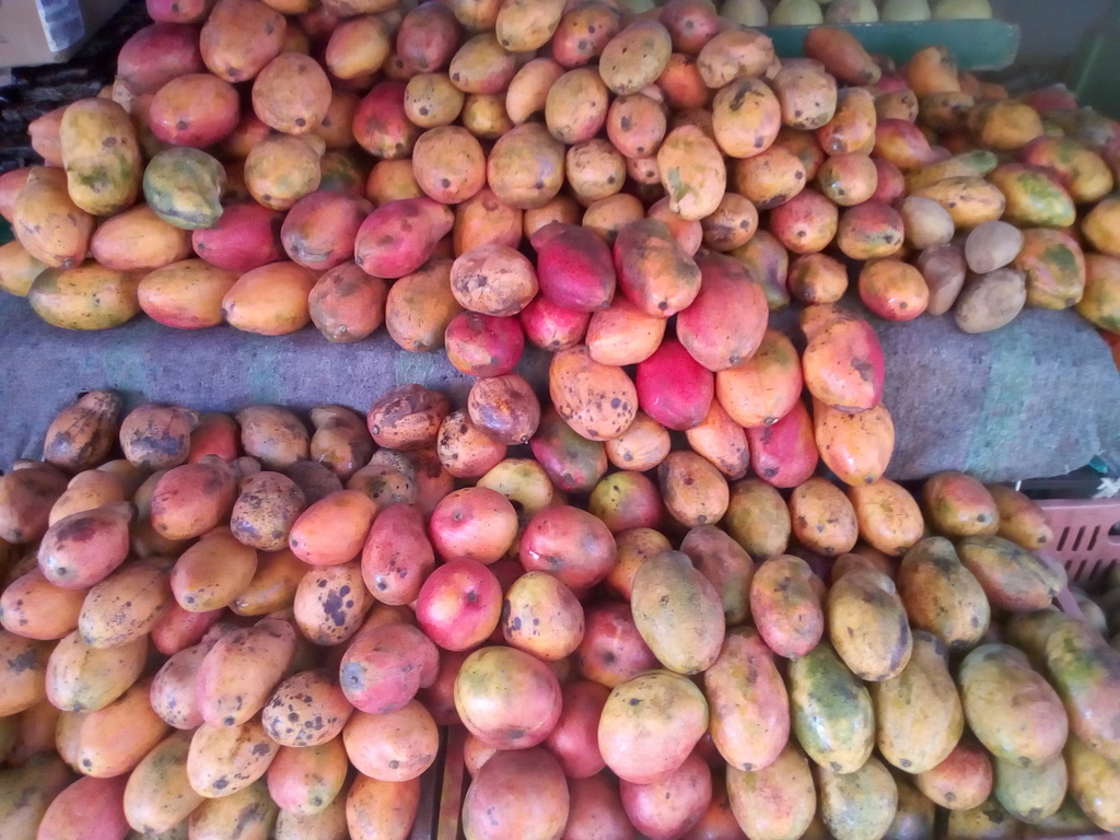 Mango de chupa americano