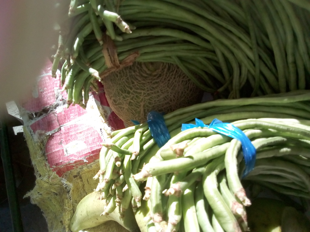 Habichuela
