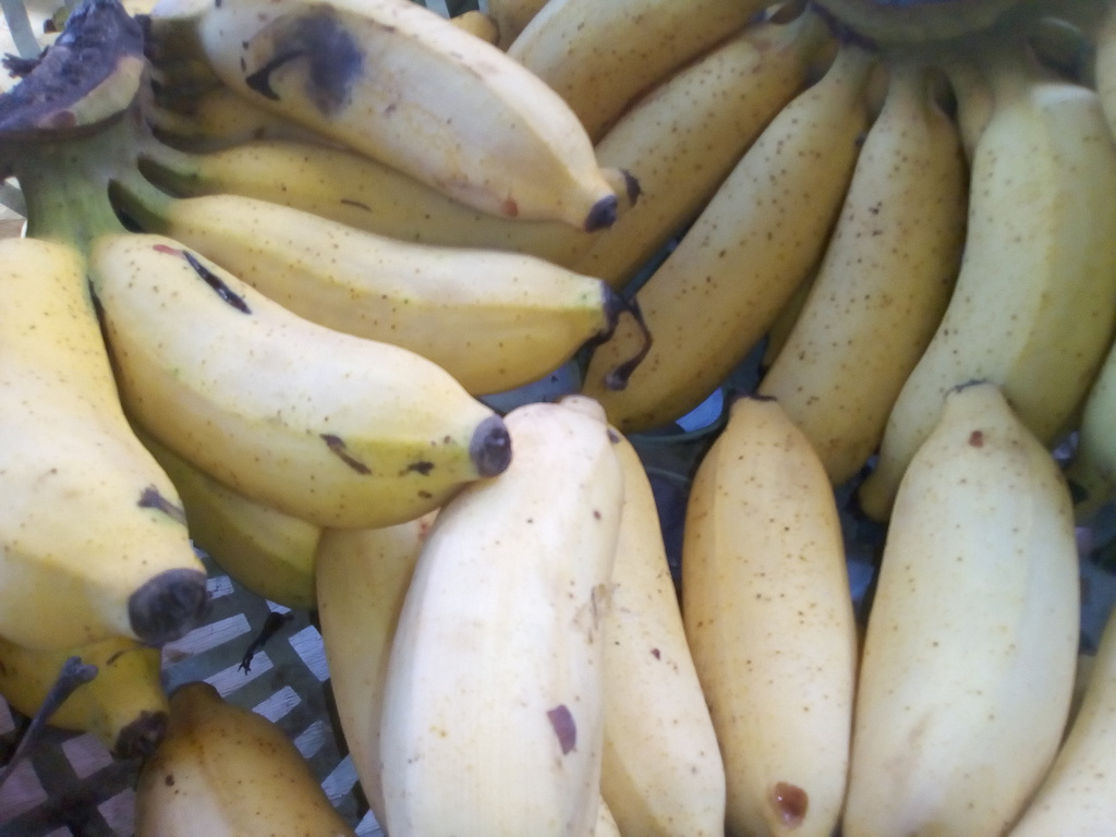 Banano Maduro