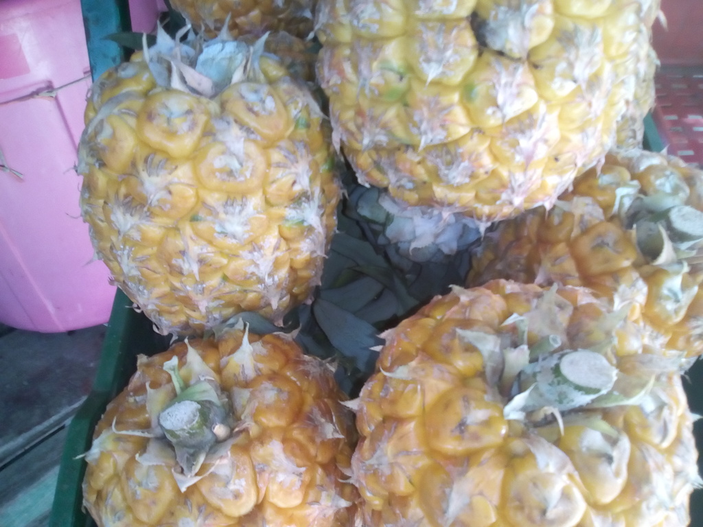 Piña