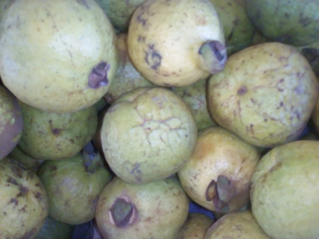 Guayaba agria