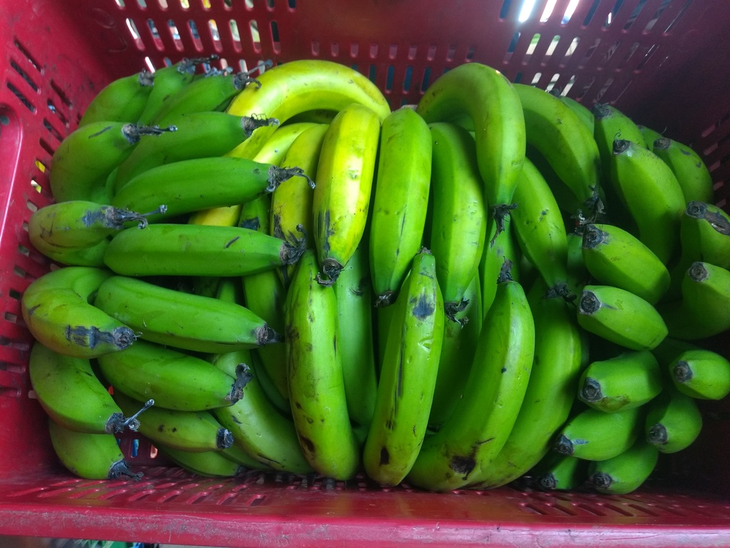 Banano