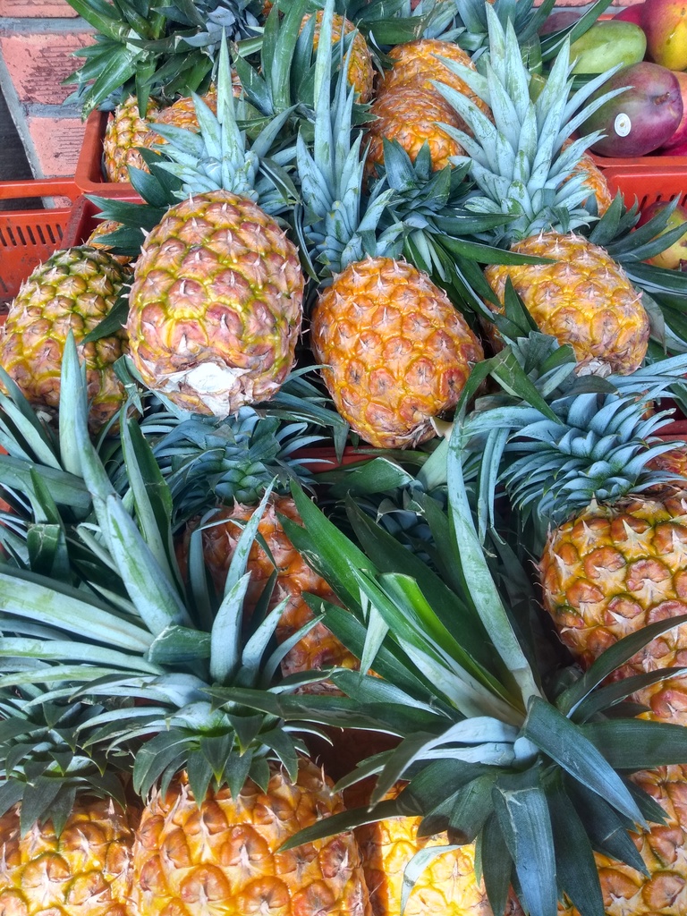 Piña oromiel