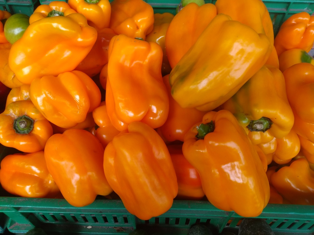 Pimentón amarillo