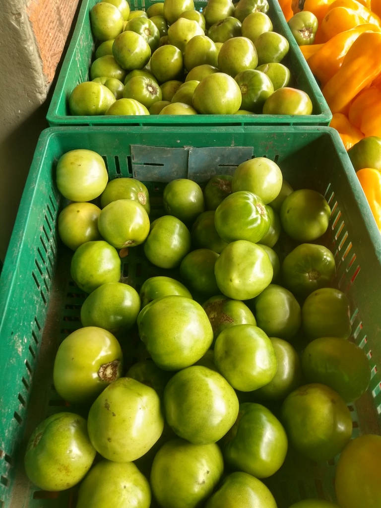 Tomate riñón