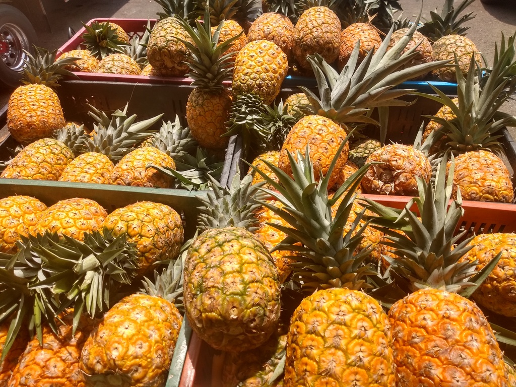 Piña oromiel