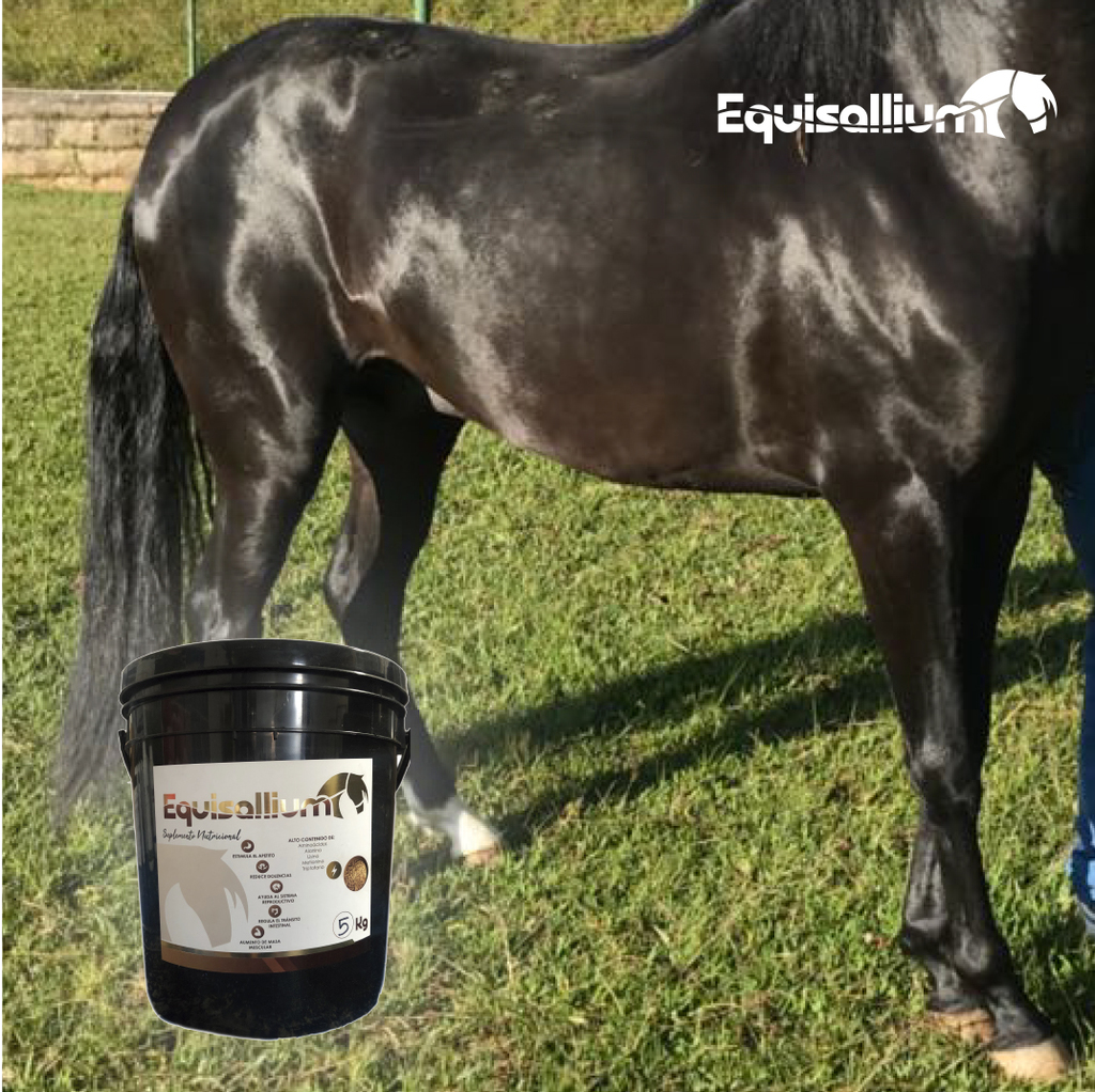 (10% OFF) Equisallium suplemento nutricional x 5kg (con Ajo)