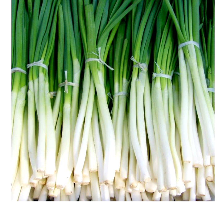Cebolla larga lavada