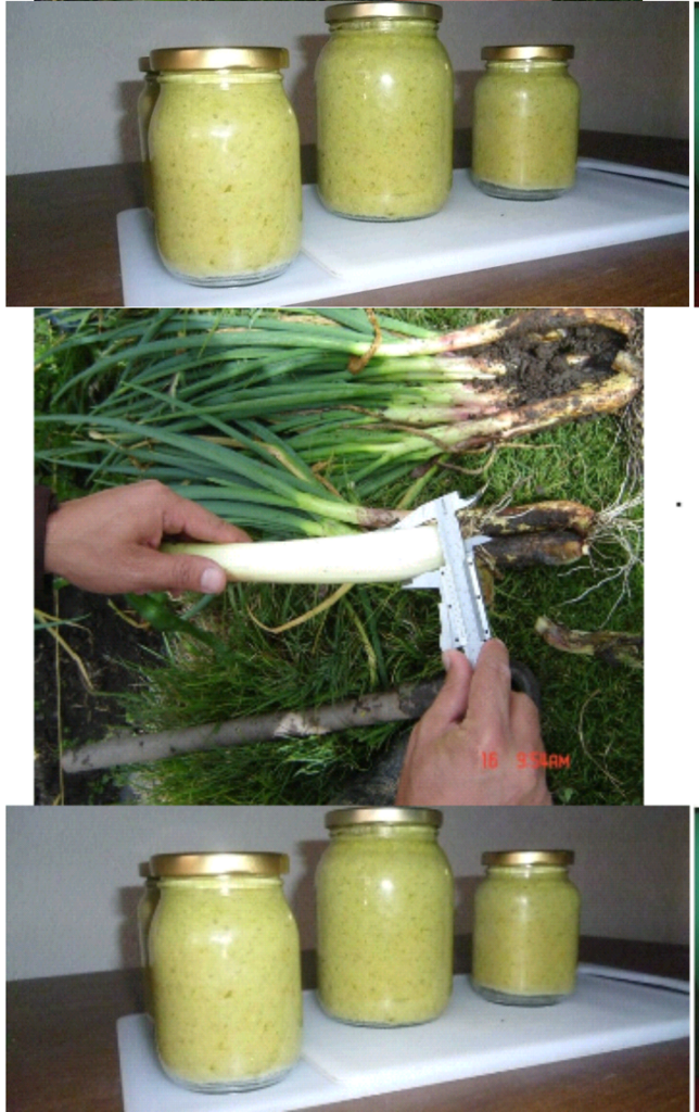 Cebolla larga en pasta