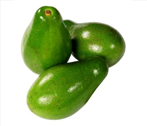 Aguacate Papelillo