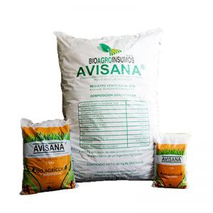 AVISANA