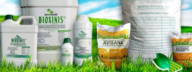 Bioxinis y Avizana