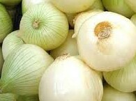 Cebollas cabezona
