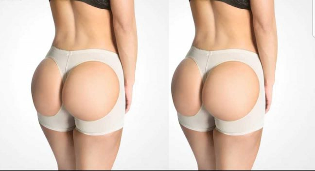 Faja levantacola