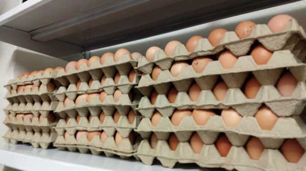 Huevos