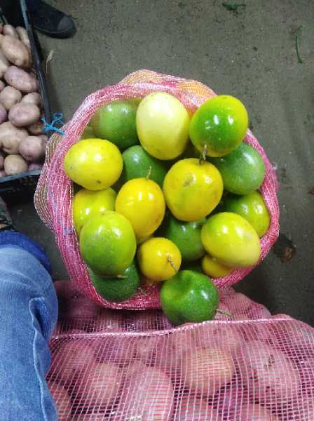 Venta de maracuya