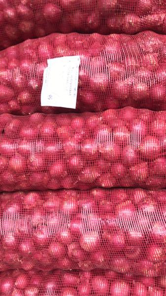 cebolla roja peruana