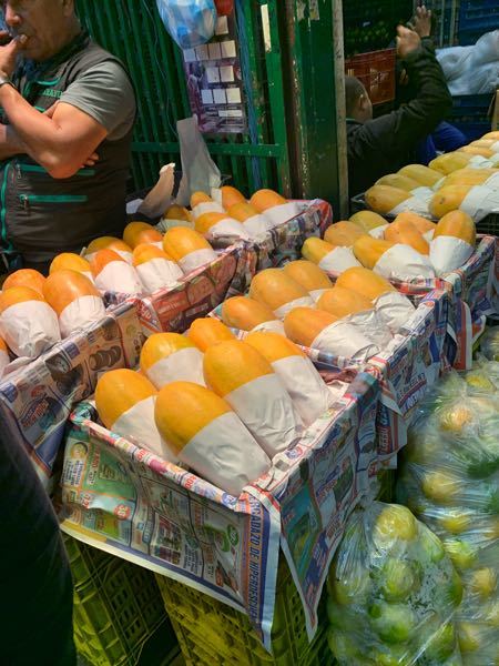 Papaya