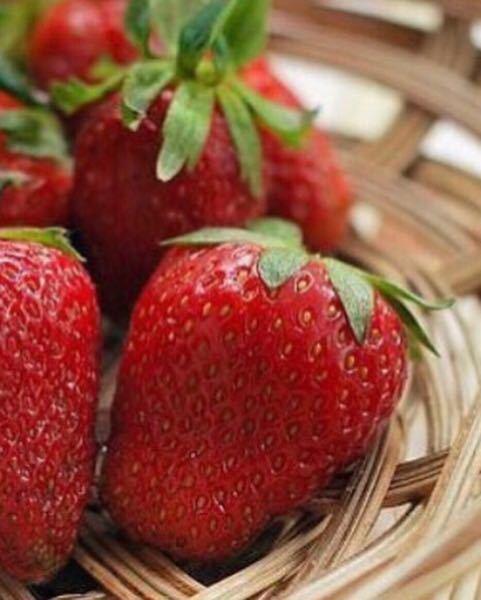 Fresa Organica