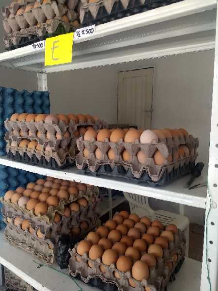 Huevos 2A