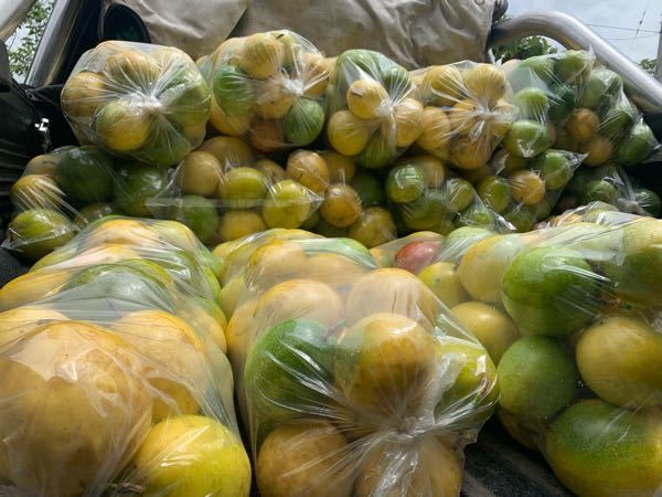 maracuya Daragro