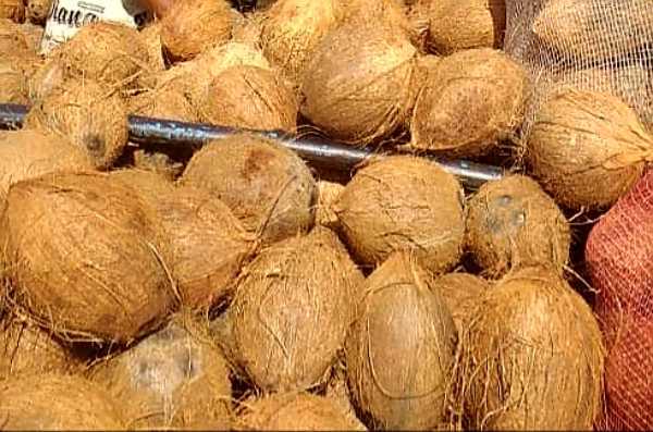 Coco fresco