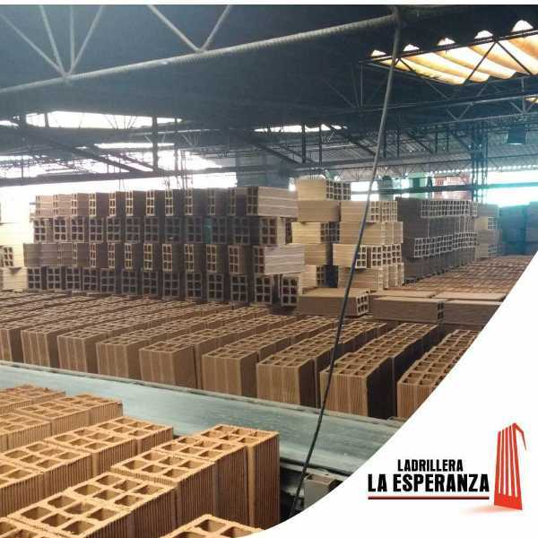 Ladrillo 10x20x40