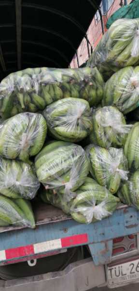 Platano al por mayor pacas de 20k