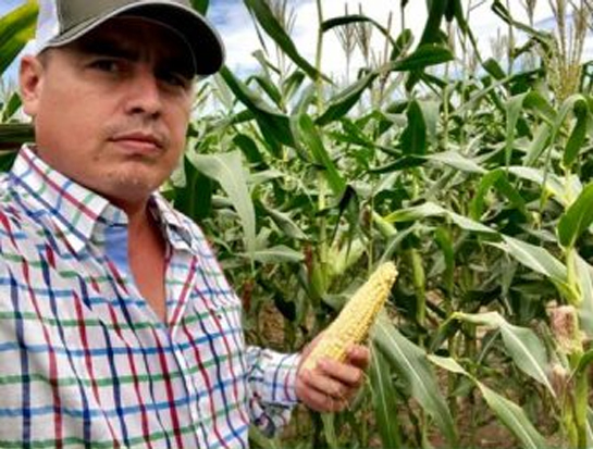 Venta de silo de Maíz