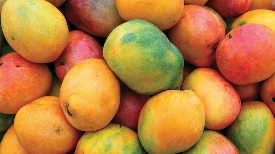 Mango de azucar