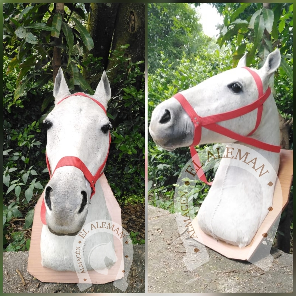 Cabezas Equinas Decorativas
