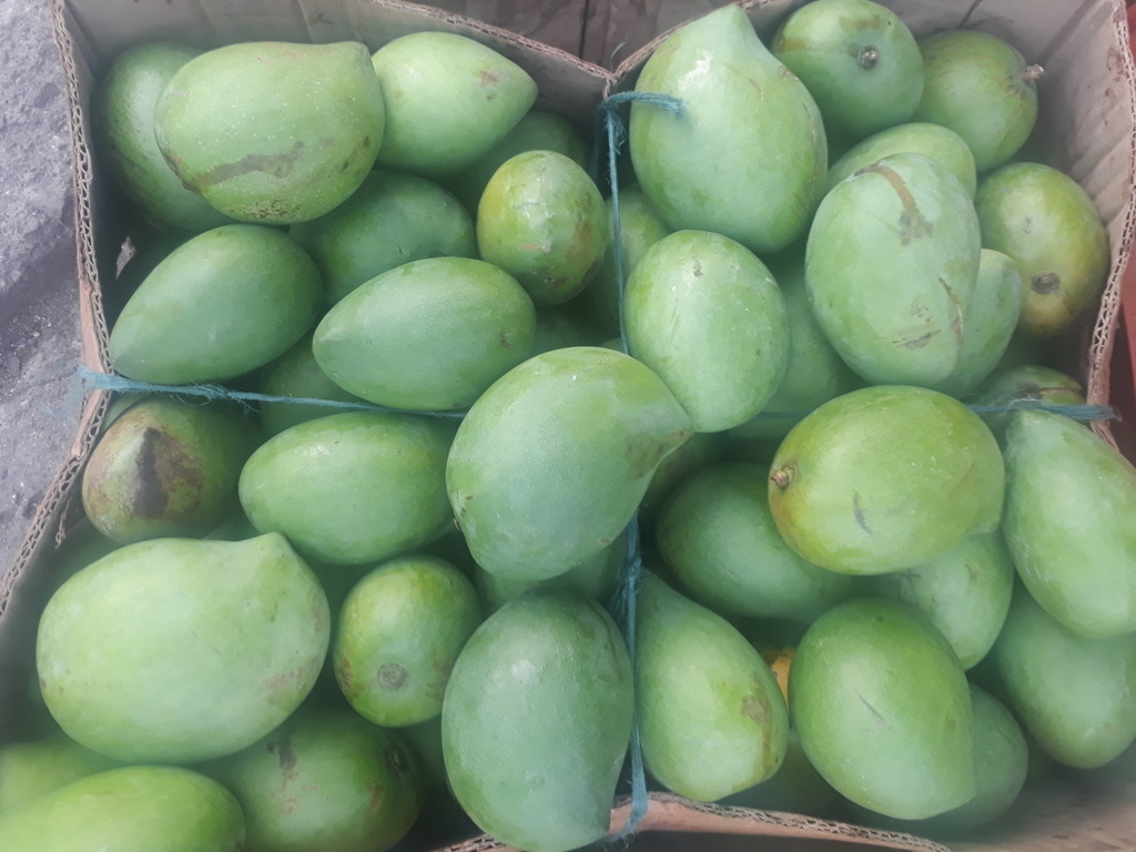 Mango corazón