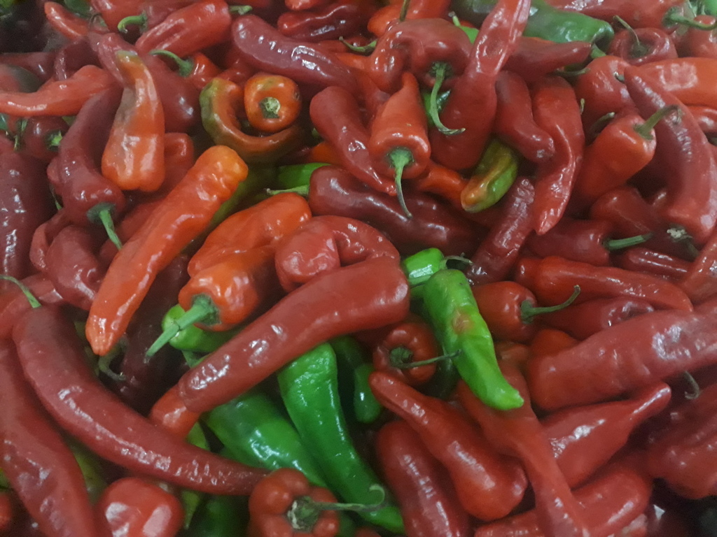 Aji