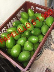 AGUACATE