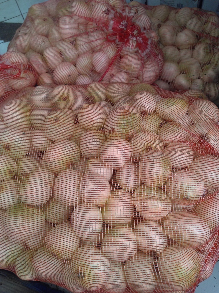 Cebolla blanca