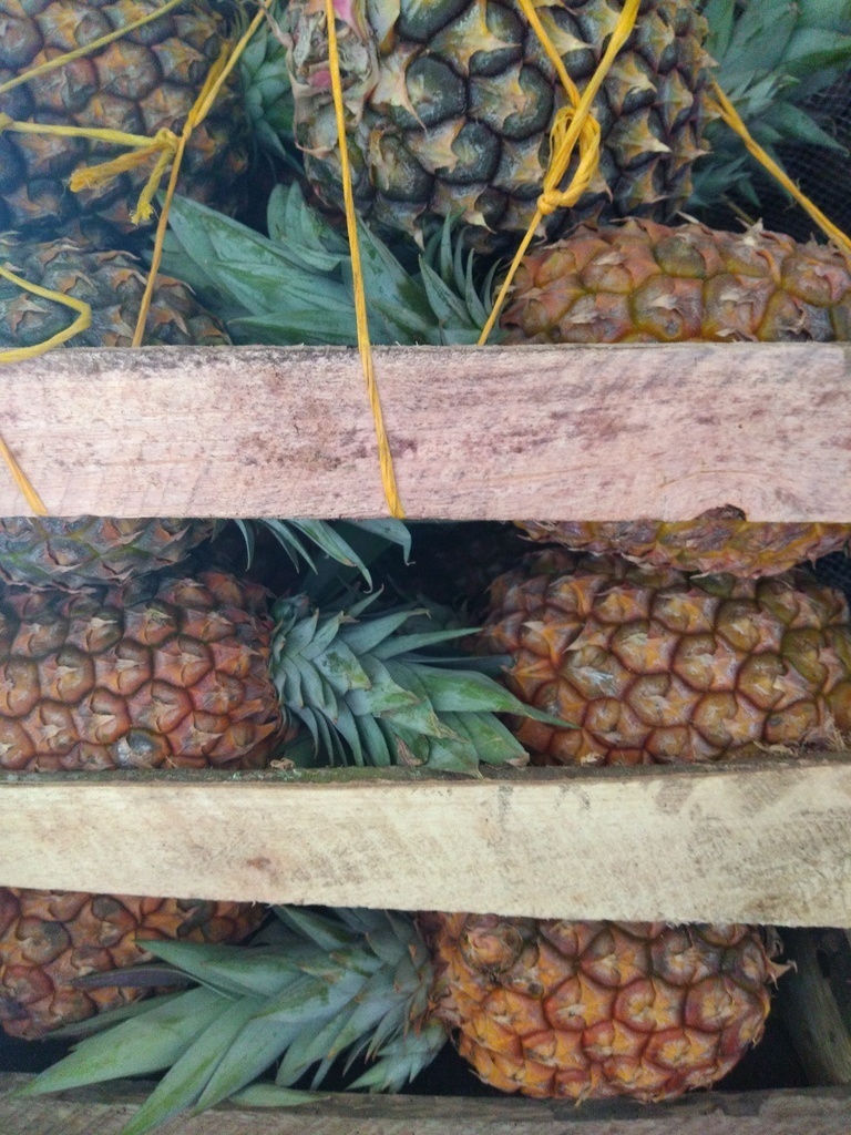 Piña